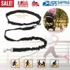 Hands-Free Dogs Leash Waist Belt Retractable Dog Leash Dog Running Reflective Training Leash