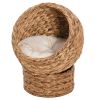 PawHut 20" Elevated Cat Bed, Natural Braided Banana Leaf Basket with Cushion, Brown