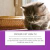 Yegbong Pet Cat Vitamin Drops Care For Pets With Physical Discomfort Daily Care Vitamin Supplements