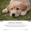Yegbong Food Supplement For Dogs, Immune-Boosting thy Dietary Supplement For Dogs