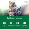Vet-Recommended Flea Prevention for Large Cats +9 lbs;  6 Monthly Treatments