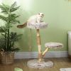 PawHut 35 Inch Modern Cat Tree for Indoor Adult Cats, with Wooden Scratching Posts, Cat Bed, Rope Cat Toy, Brown