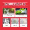 Yegbong Pet Dietary Supplement, Take Care Of The Pet Discomfort Cat To Absorb Nutritional Supplements