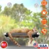 Cat Window Perch Cat Hammock Window Seat Window Mounted Cat Bed Hanging Cat Seat Hold up to 66lbs