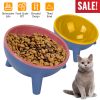 Raised Tilted Elevated Cat Food Bowl Pet Backflow Prevention Water Dish Feeding Bowl for Cats Small Dogs