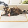 Cat Scratching Mat Natural Sisal Anti-Slip Mat Horizontal Cat Floor Scratching Pad Rug 
Kitten Play Toys Protect Carpets Sofas Furniture