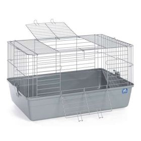 Prevue Pet Products Small Animal Tubby 522 (Dog health: Gray)