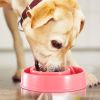 Dog Cat Slow Feeder Bowl Pet Interactive Maze Feeder Bowl Anti-Bloat Feeding Plate