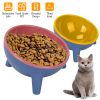 Raised Tilted Elevated Cat Food Bowl Pet Backflow Prevention Water Dish Feeding Bowl for Cats Small Dogs
