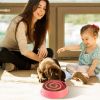 Dog Cat Slow Feeder Bowl Pet Interactive Maze Feeder Bowl Anti-Bloat Feeding Plate