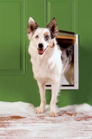 PetSafe Extreme Weather Pet Door (Dog health: Medium)