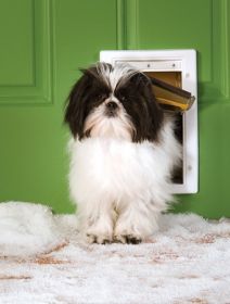 PetSafe Extreme Weather Pet Door (Dog health: Small)