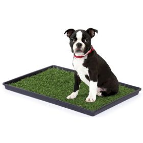 Tinkle Turf (Dog health: Medium)