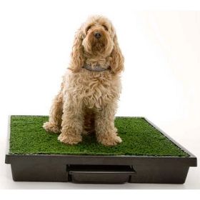 Pet Loo Potty Training System (Dog health: Medium)