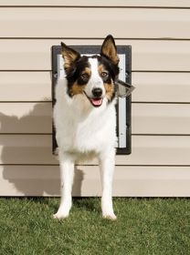 PetSafe Wall Dog Door (Dog health: Medium)